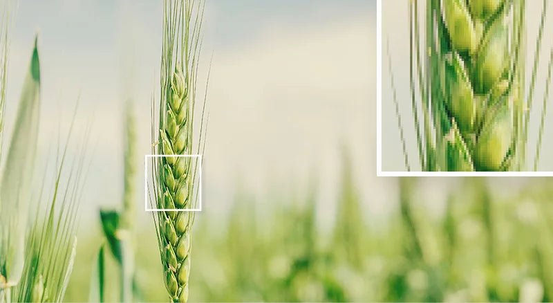 BenQ LK936ST - 4K HDR Short-Throw Laser Projector - Golf My Space